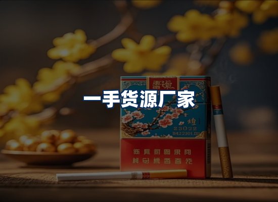 专业团队办公环境